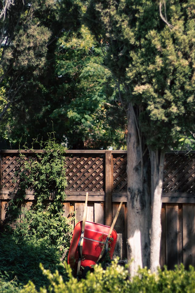 red-wheelbarrow-against-a-fenced-backyard